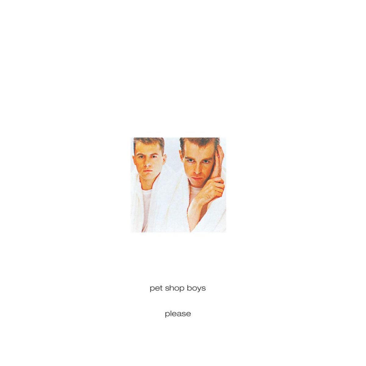 Pet Shop Boys